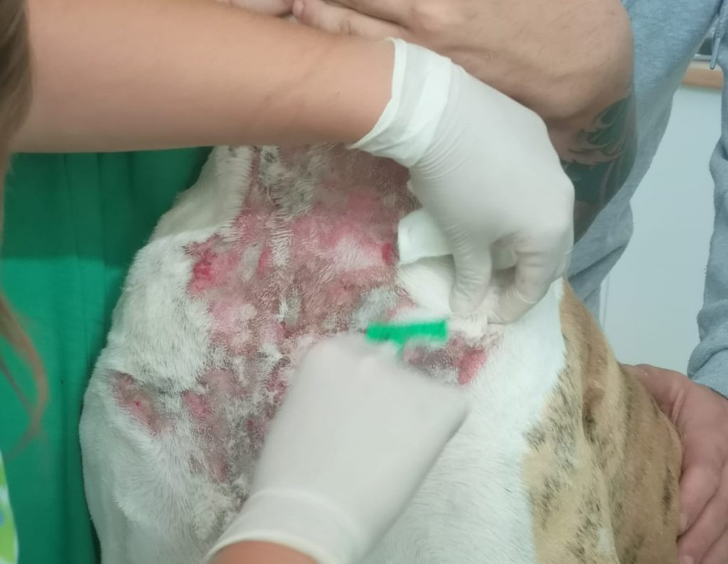 Ungo presenta quemaduras en su pecho y cara| DA