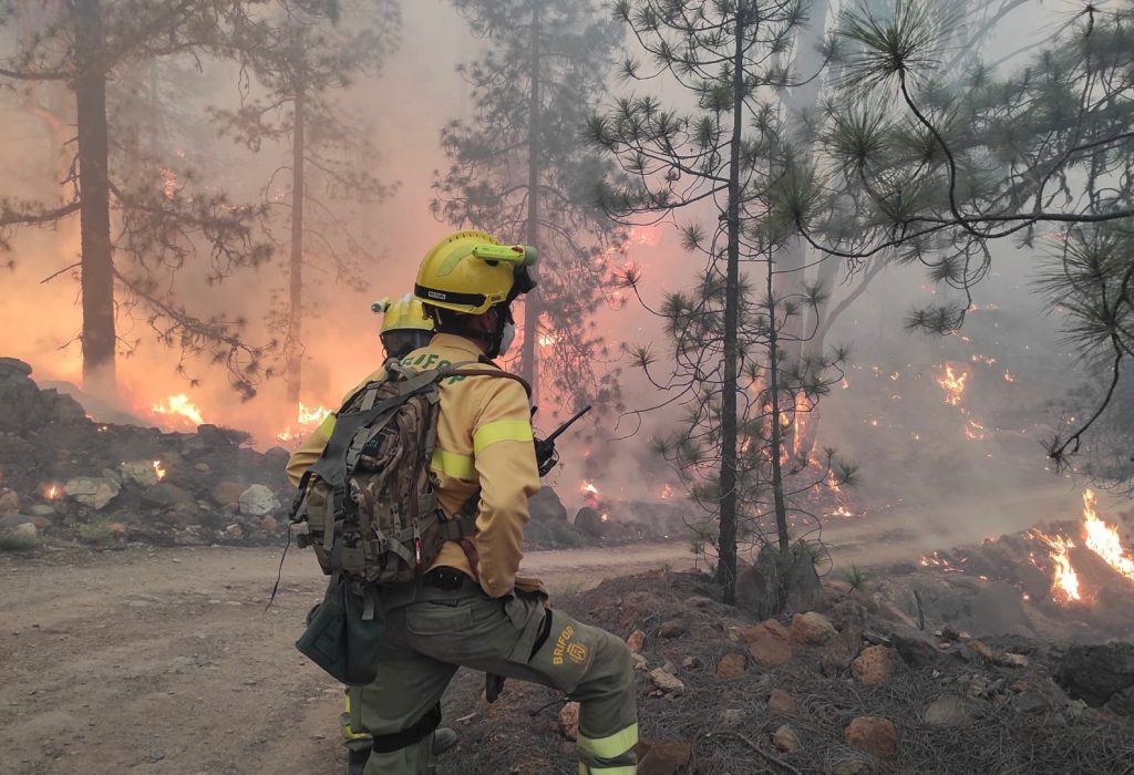 INCENDIO ARICO