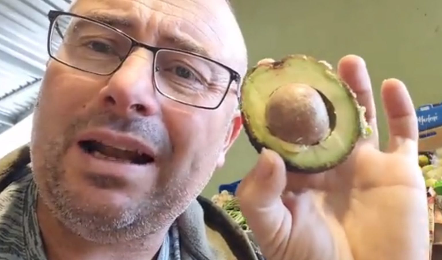 Regalan aguacates gratis a los tinerfeños: David el agricultor tiene "las bolsas preparadas"