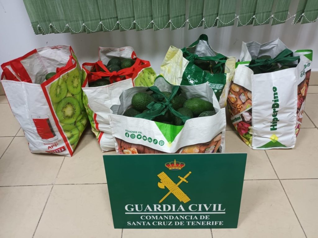 Los pillan robando aguacates en Tenerife: habían cogido 83 kilos