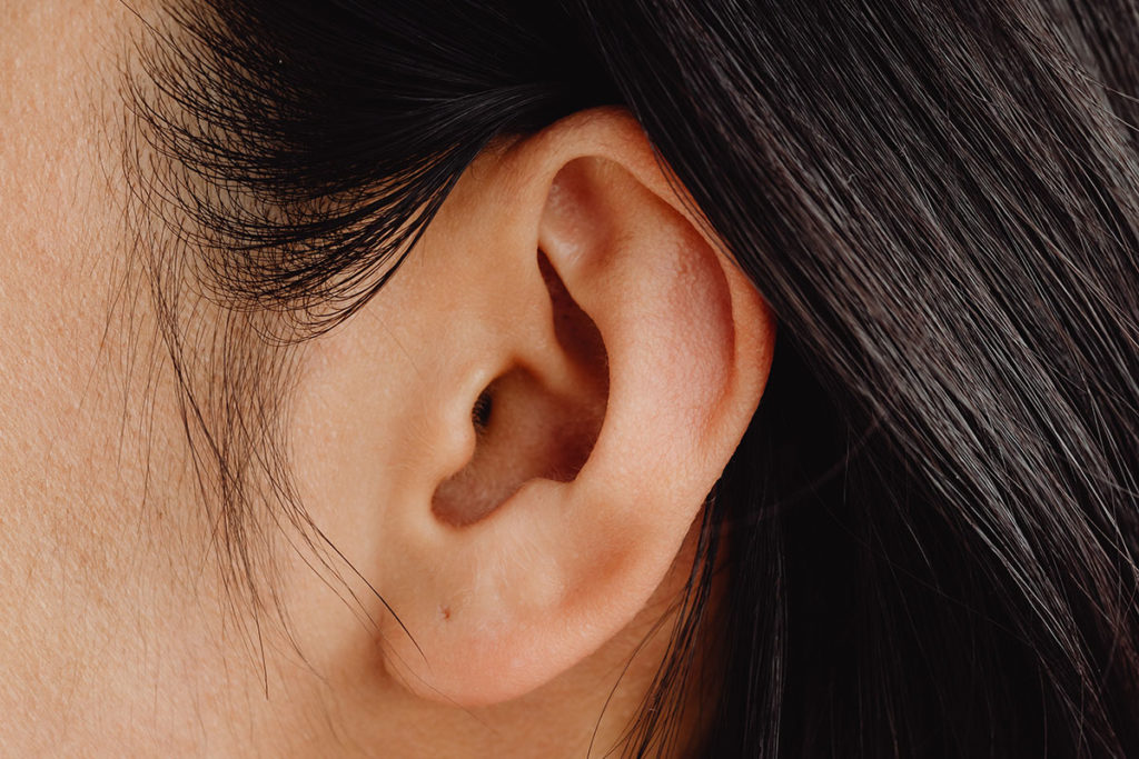 Oreja