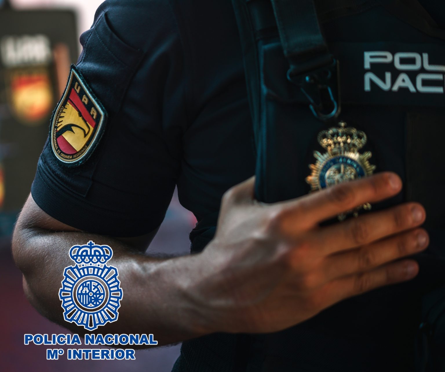 Cocaína en lugar de vacas: interceptan un barco de ganado cerca de Canarias con toneladas de droga