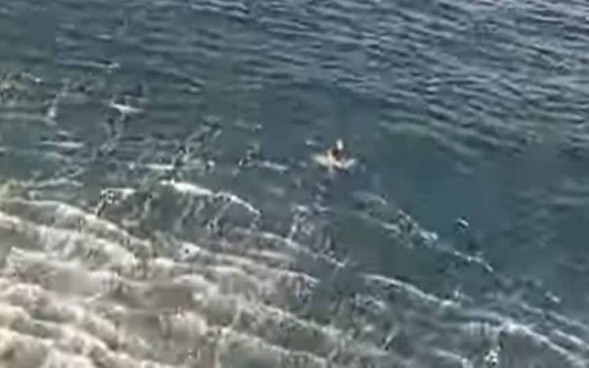 El agónico rescate de un surfista en apuros en Gran Canaria