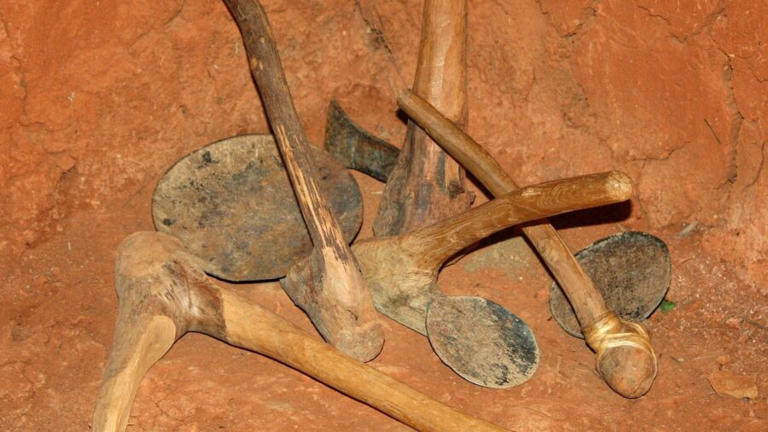 Los científicos encuentran una estructura más antigua que la humanidad, restos óseos encontrados