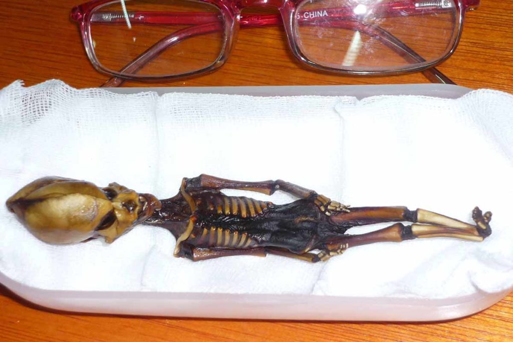Estos son los indicios y posibles pruebas de vida extraterrestre hasta el momento