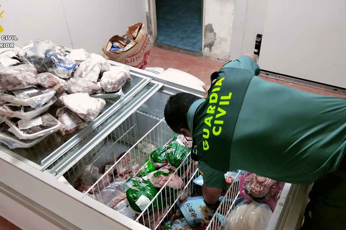 Alimentos Gran Canaria