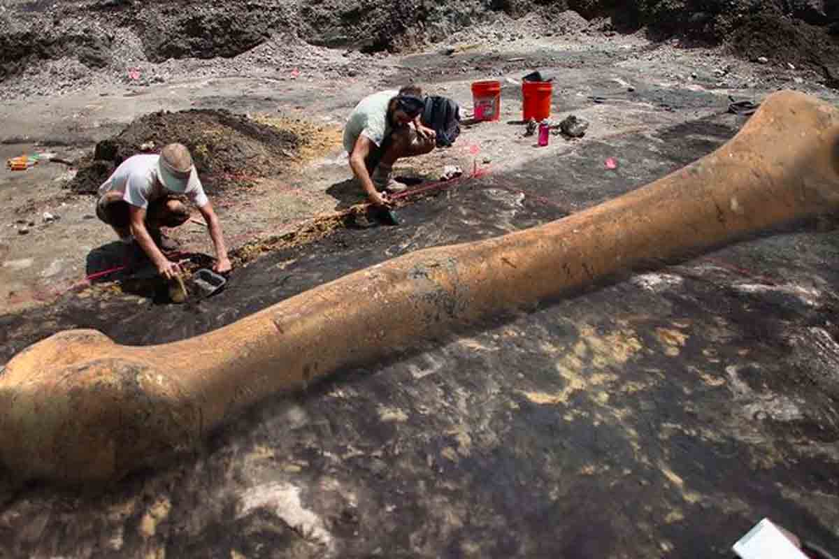 Un Descubrimiento De Científicos De Hace 1 6 Millones De Años Cambia Lo Un Descubrimiento De Científicos De Hace 1 6 Millones De Años Cambia Lo
