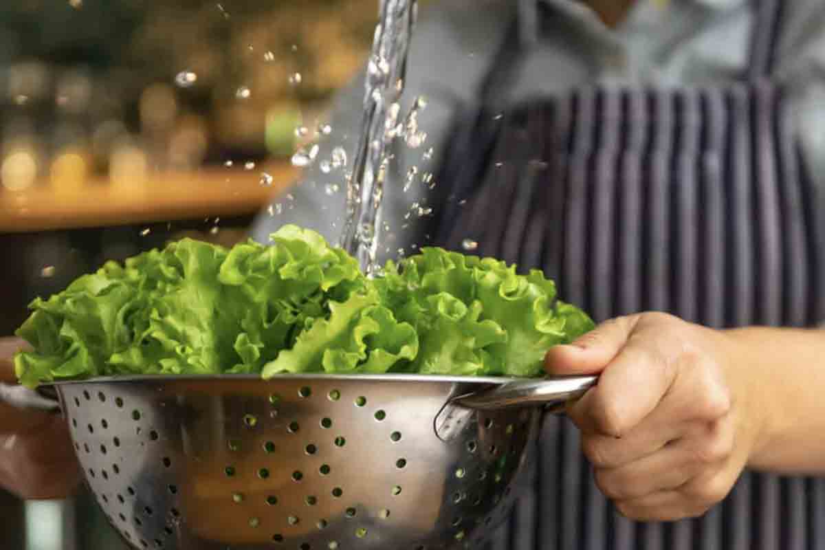 médicos lechuga salud