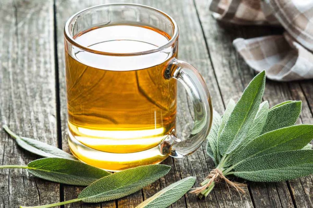 planta salvia salud