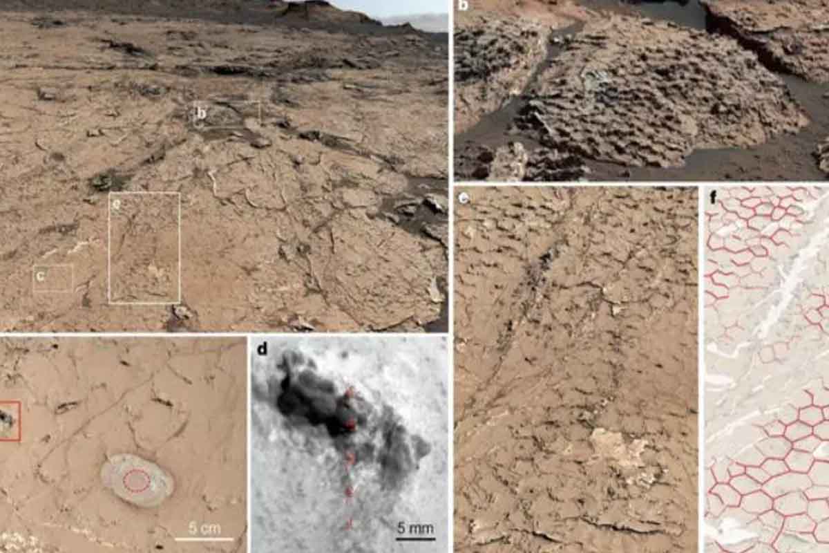 marte NASA científicos