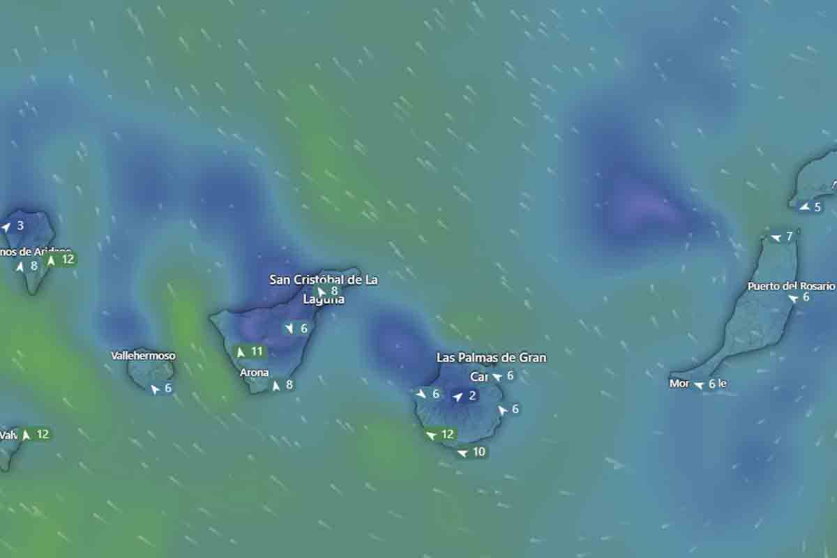 aemet tiempo canarias