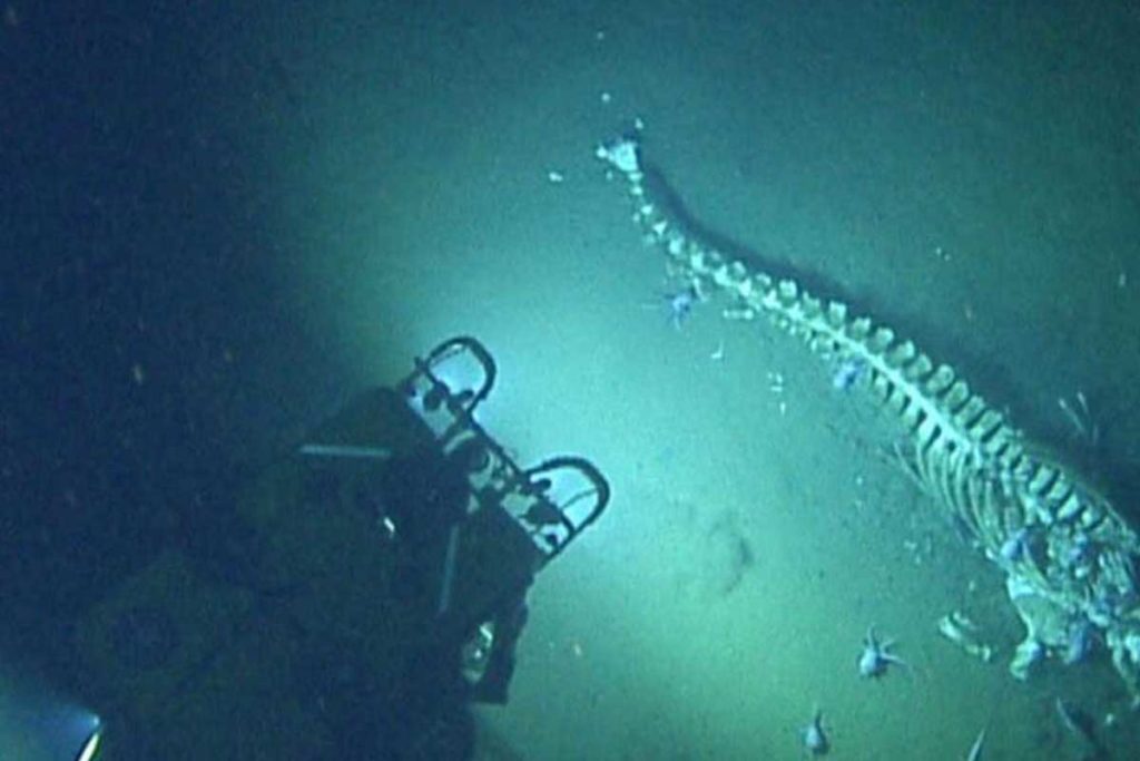 investigadores en el océano ciencia