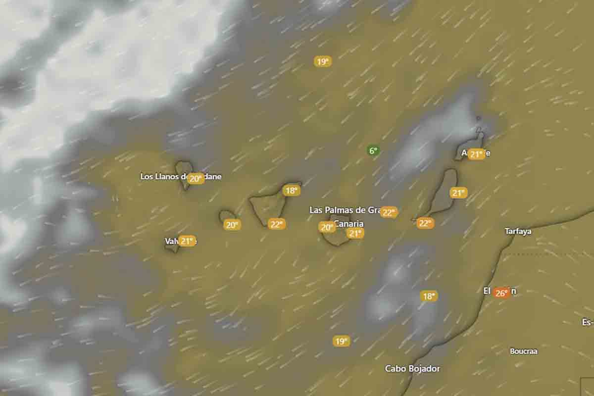 Canarias tiempo AEMET Borrasca