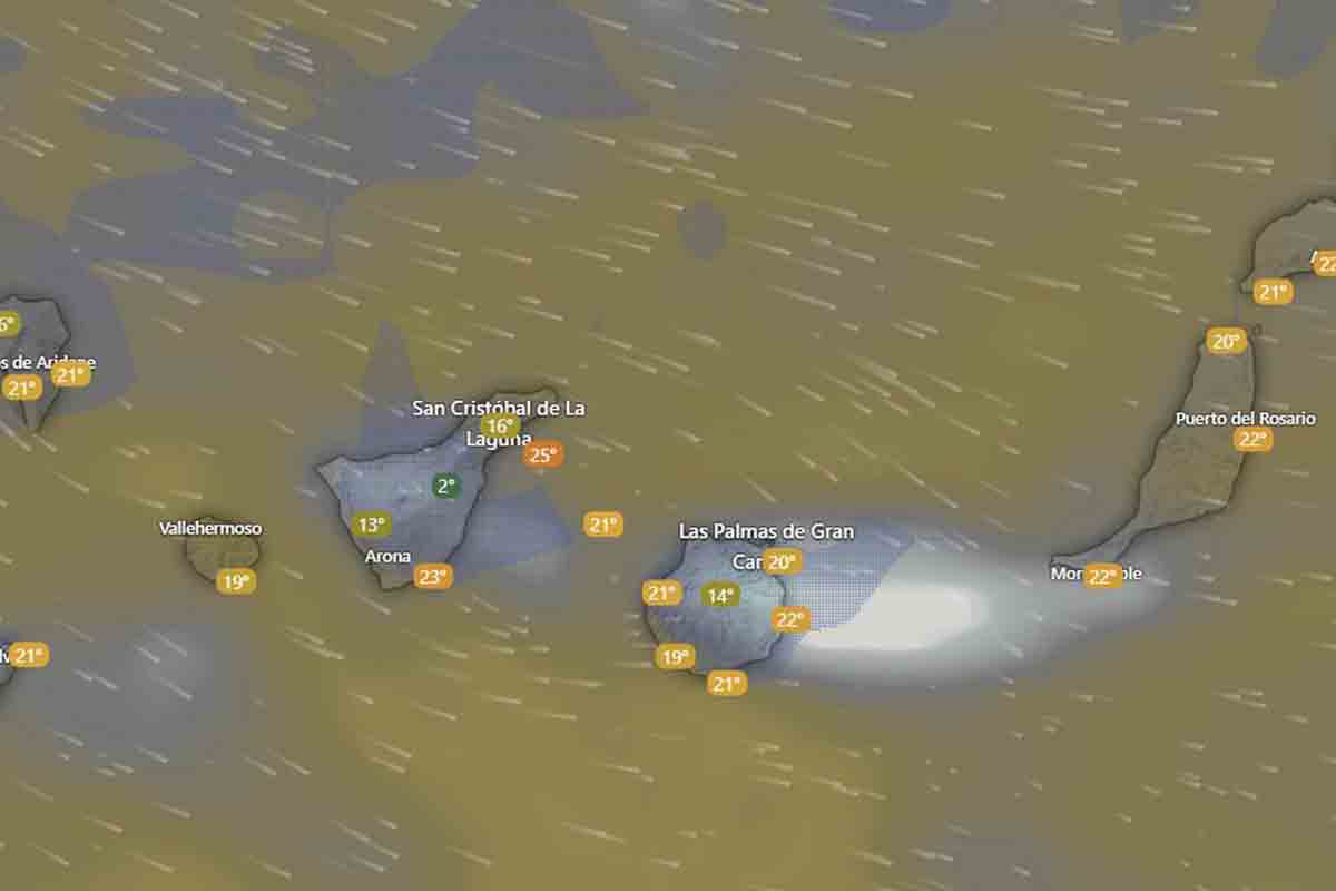 Borrasca Canarias AEMET el tiempo