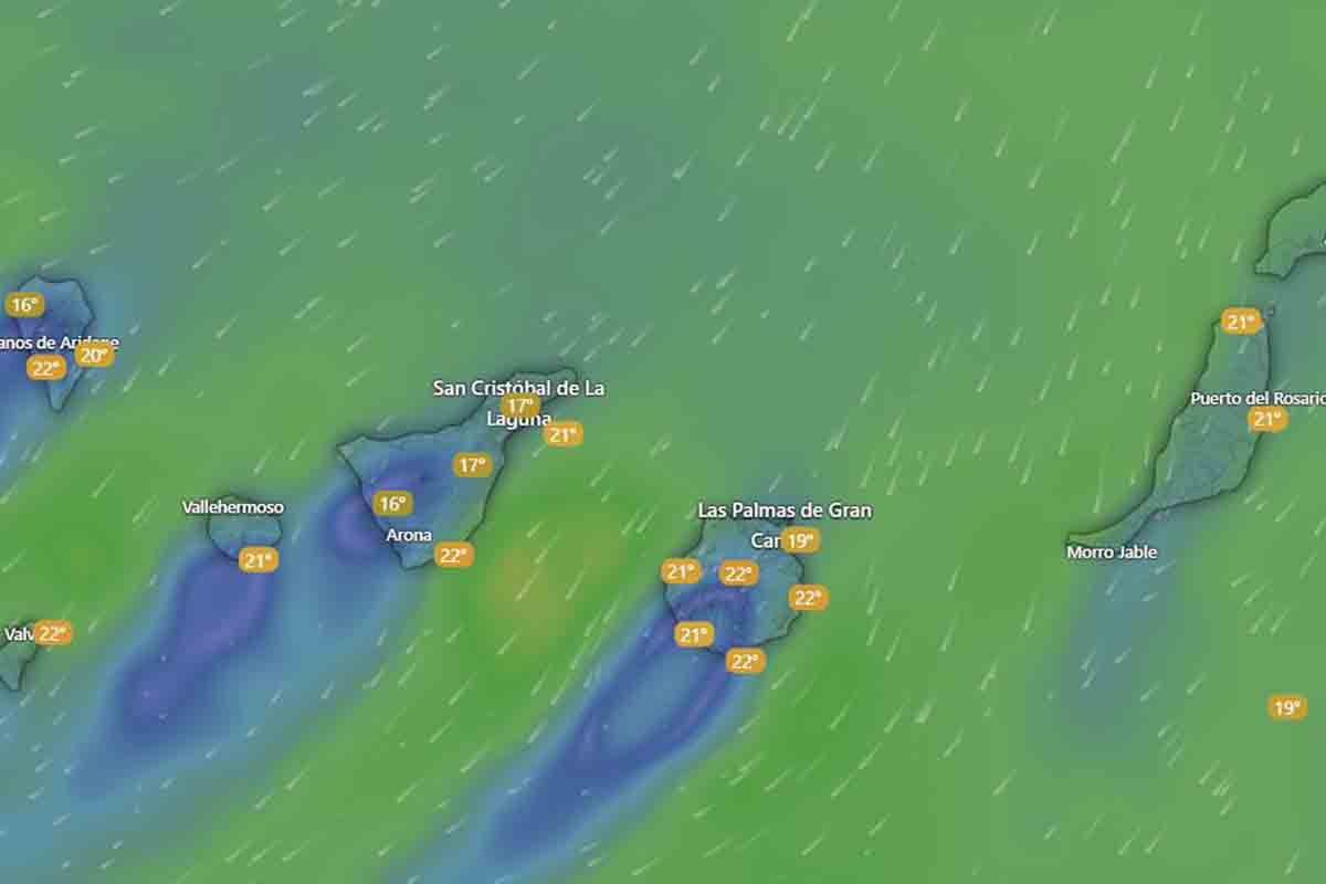 El tiempo en Canarias AEMET