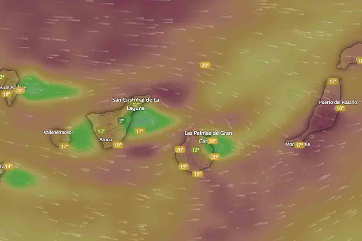 Borrasca Nuria Canarias AEMET tiempo