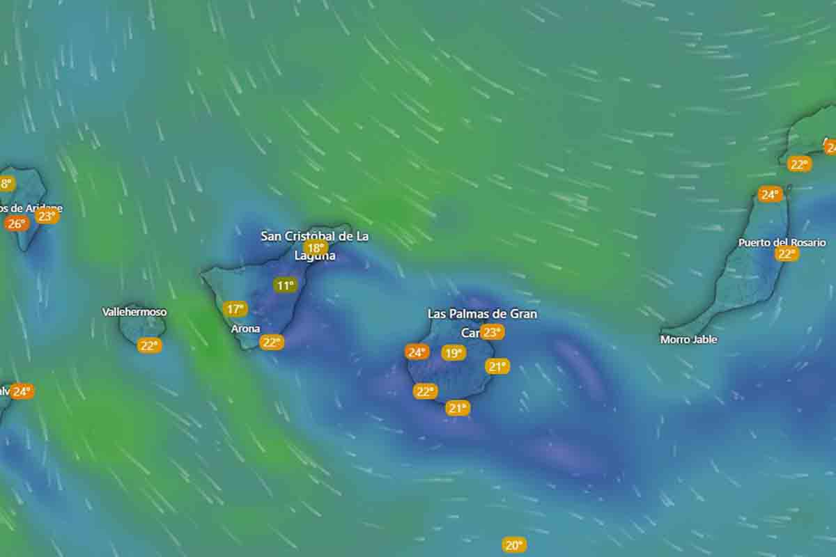 El tiempo en Canarias AEMET