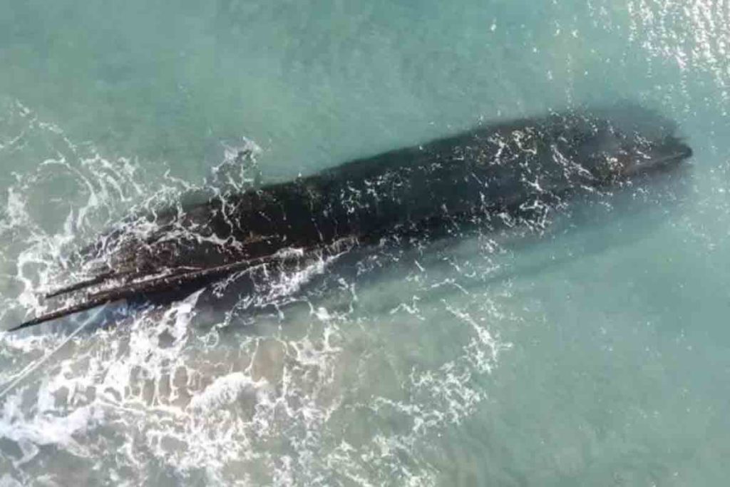 Arqueólogos descubrimiento naufragio Canadá