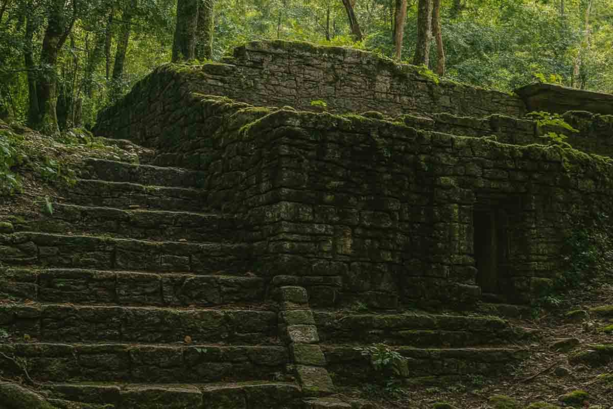 Arqueólogos descubrimiento selva