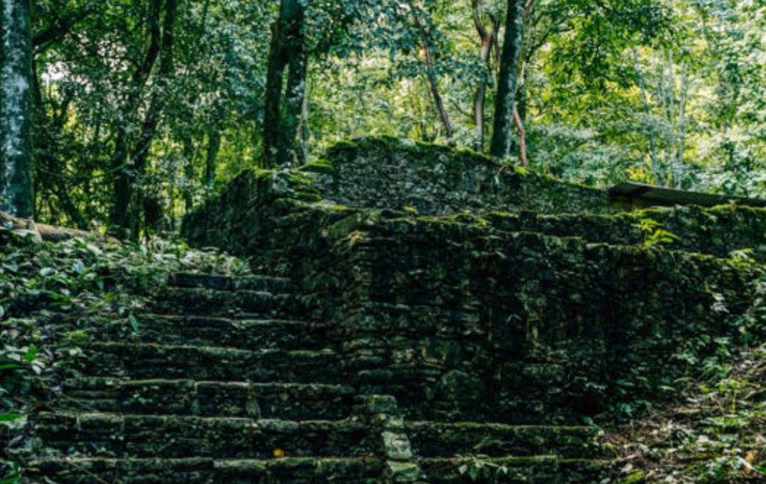 Descubrimiento arqueólogos selva