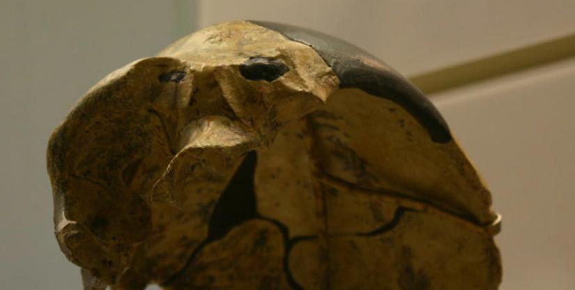 arqueólogos investigadores ciencia descubrimiento