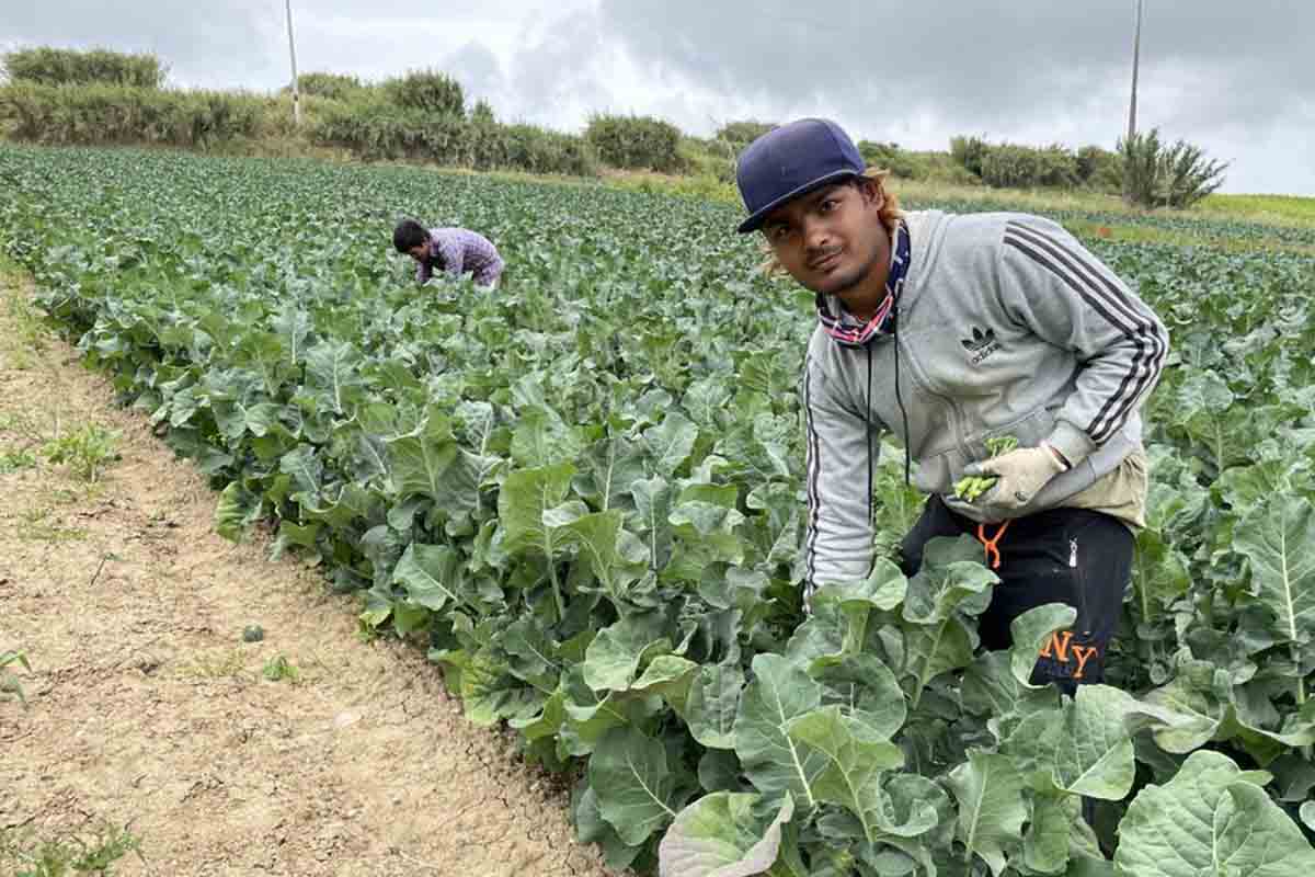 Trabajadores ilegales Fuerteventura sucesos