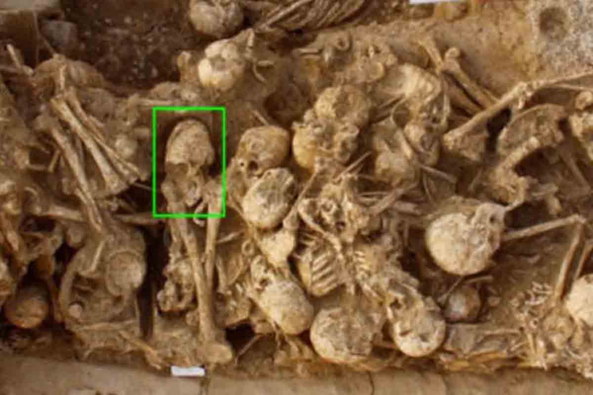 Misterio arqueólogos descubrimiento ciencia investigadores
