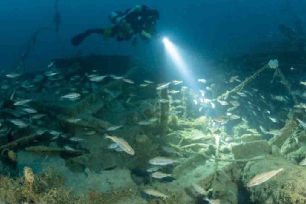 Descubrimiento pecio científicos y arqueólogos