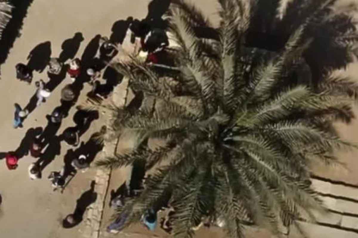Científicos e investigadores semilla descubrimiento