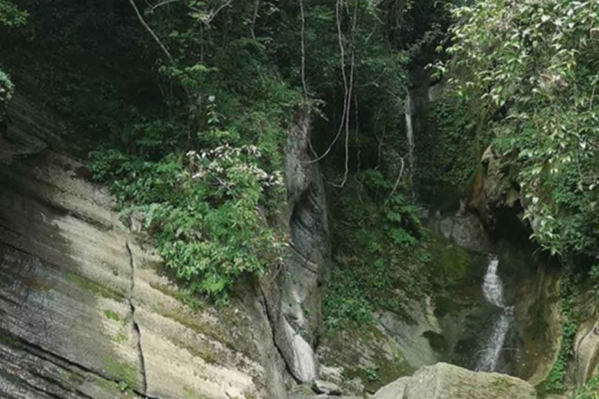 Criatura descubrimiento científicos china