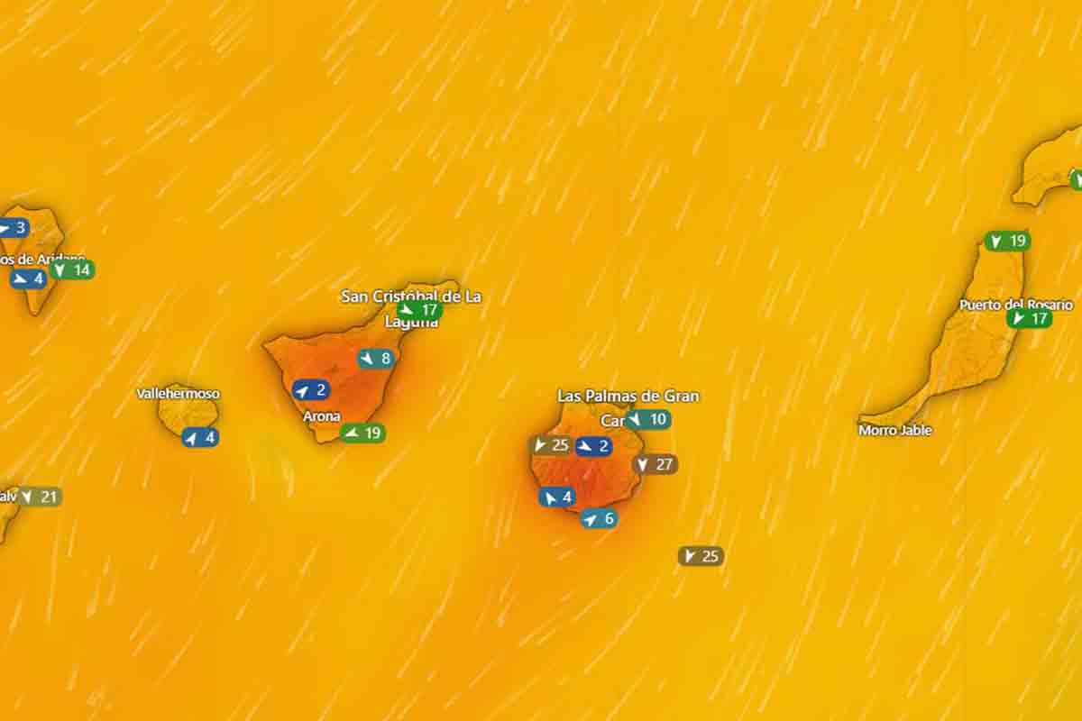 El tiempo en Canarias pronóstico de la AEMET y avisos