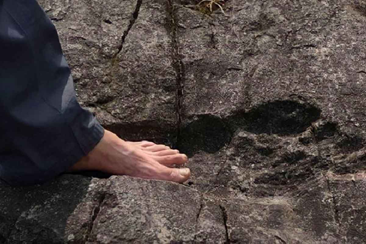 huellas descubrimiento científicos ciencia Australia