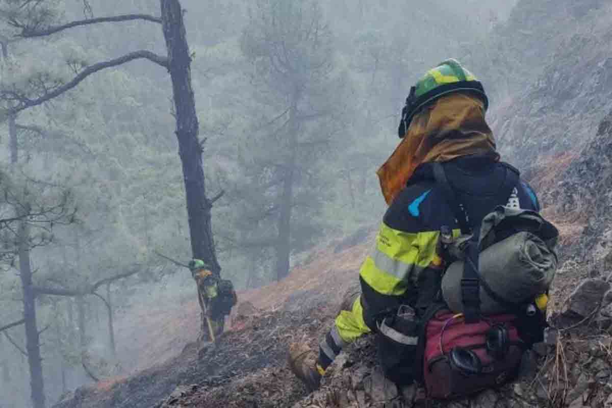 Incendios Gran Canaria Alertas