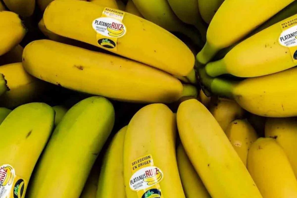 Plátano de Canarias