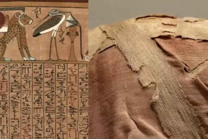 Libro de los muertos descubierto por arqueólogos en Egipto