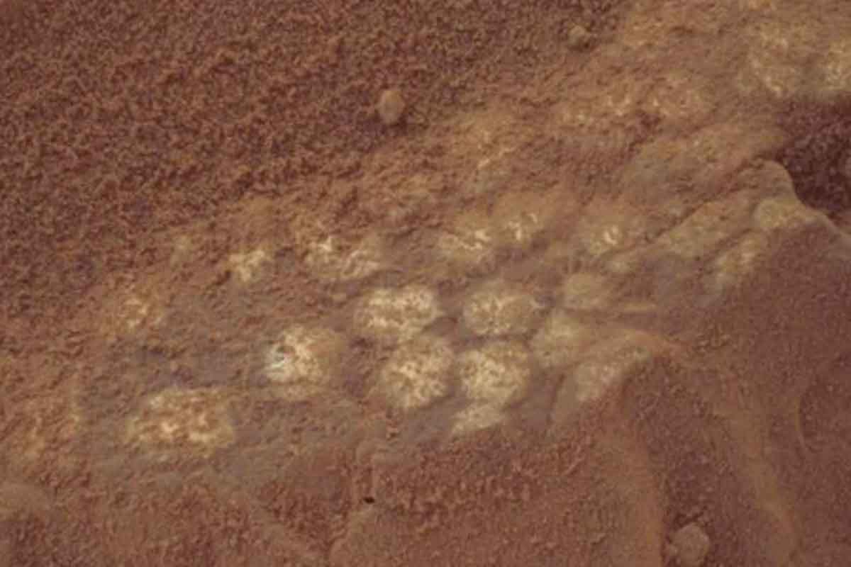 Marte descubrimiento científicos NASA