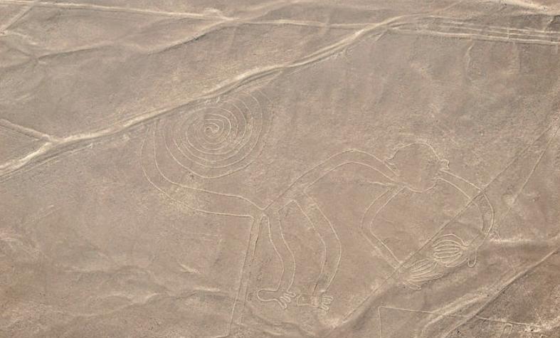 Vista aérea de las estructuras descubiertas por los científicos