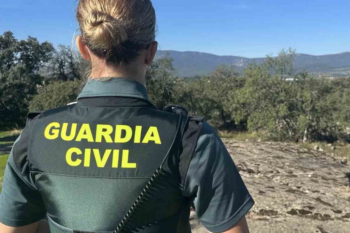 Sucesos Guardia Civil Tenerife Grandilla