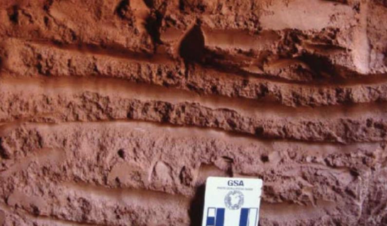 Imágenes de arañazos hechos en las paleomadrigueras por perezosos terrestres gigantes extintos según los geólogos