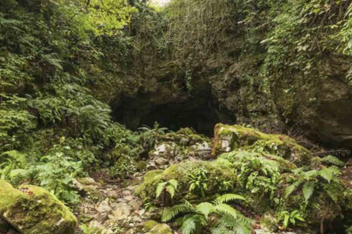 Túneles descubiertos por los geólogos