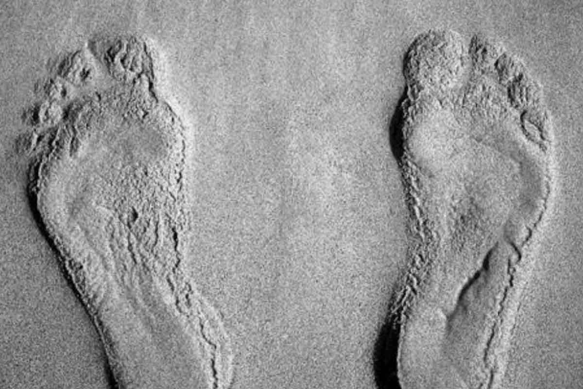 Huellas descubiertas por los arqueólogos - SCIENCE