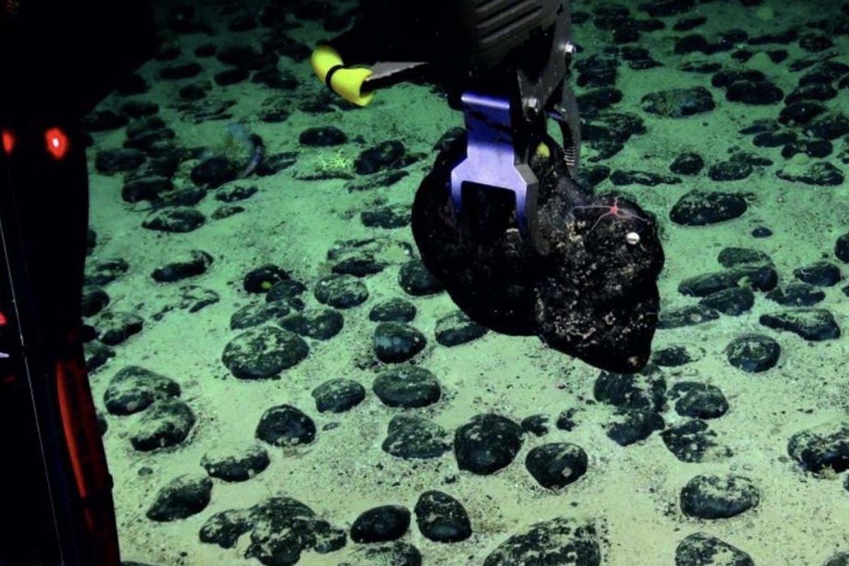 Telurio en Canarias que quiere Marruecos - SCIENCE