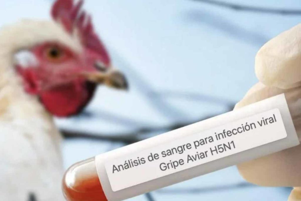 Gripe aviar - SCIENCE