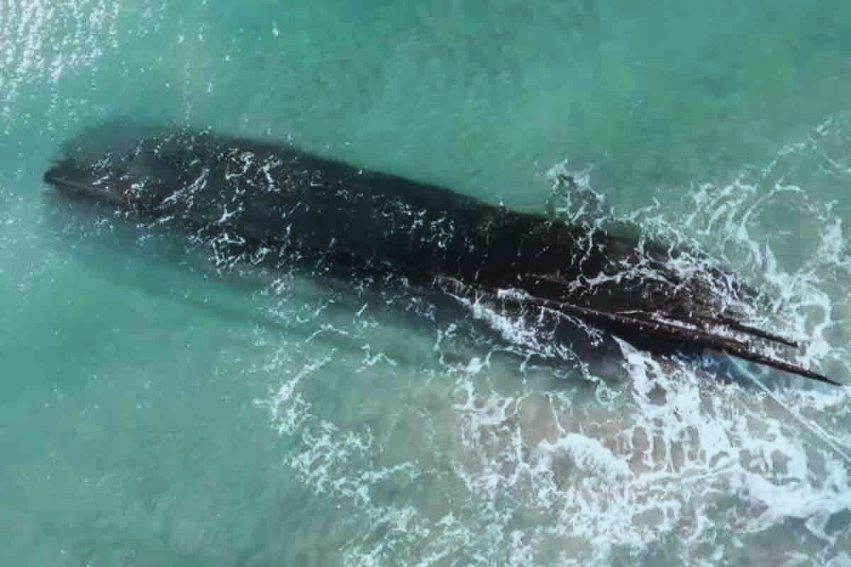 Arqueólogos descubrimiento naufragio Canadá