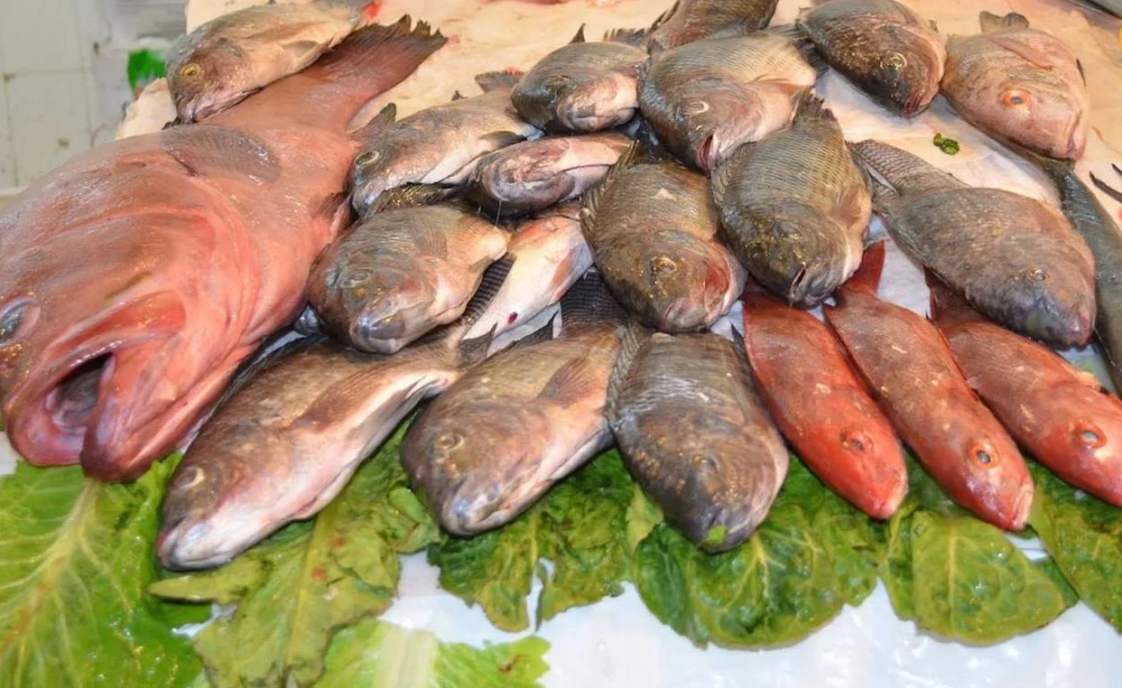 Investigación sobre ciguatera en Canarias