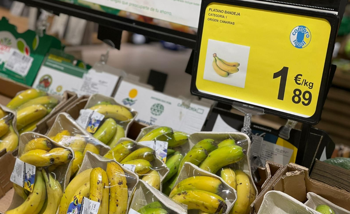 Plátano de Canarias - CER