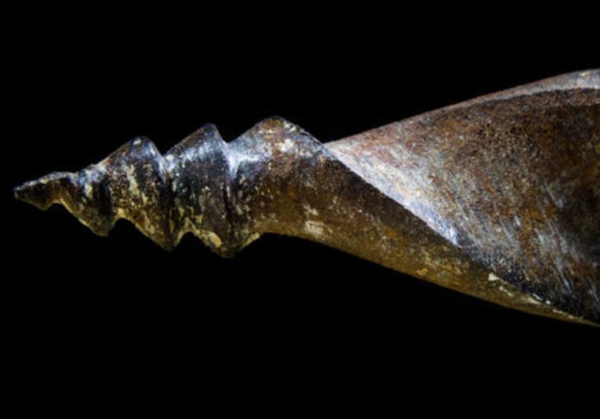 Pequeño taladro de arco de cobre del antiguo Egipto hallado en Badari, analizado por científicos que identificaron desgaste rotatorio y restos de correa de cuero original