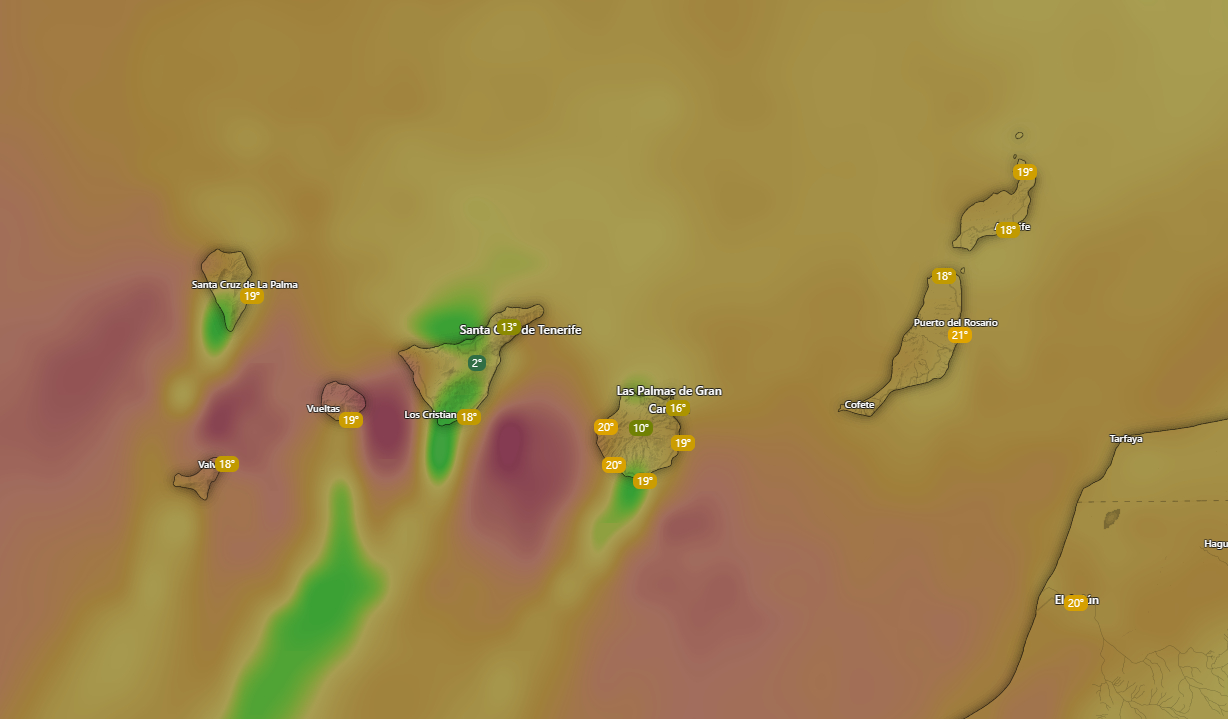 Imagen del viento en Canarias con árboles inclinados y mar agitado mostrando el impacto del episodio previsto por la AEMET en varias islas