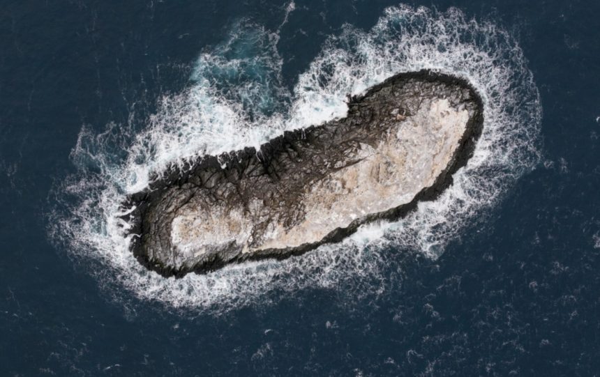 Imagen de la nueva isla rocosa descubierta por la expedición SWOS en el noroeste del mar de Weddell, en la Antártida, una formación de 130 metros de largo y 16 metros de altura sobre el nivel del mar - investigadores