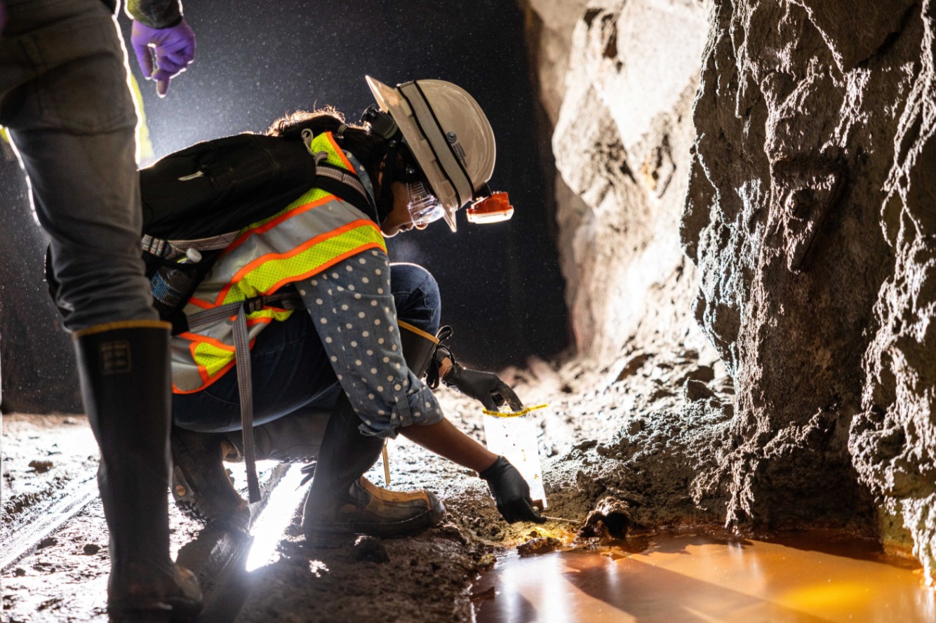 El descubrimiento bajo un antiguo yacimiento de oro: microbios que transforman el dióxido de carbono en roca sólida - EEUU